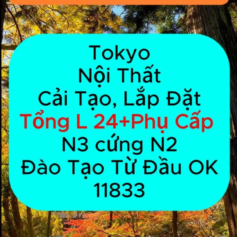TOkyo 11833 Nội thất T24+ Phụ&nbsp;Cấp