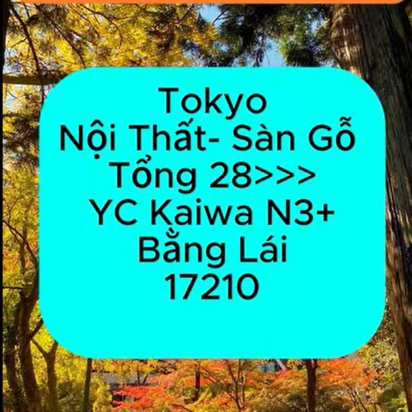 Tokyo 17210 Tổng&nbsp;28>