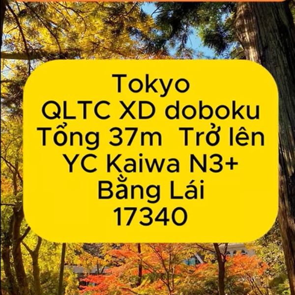 17340 QLTC/Thi Công TOKYO&nbsp;37m>