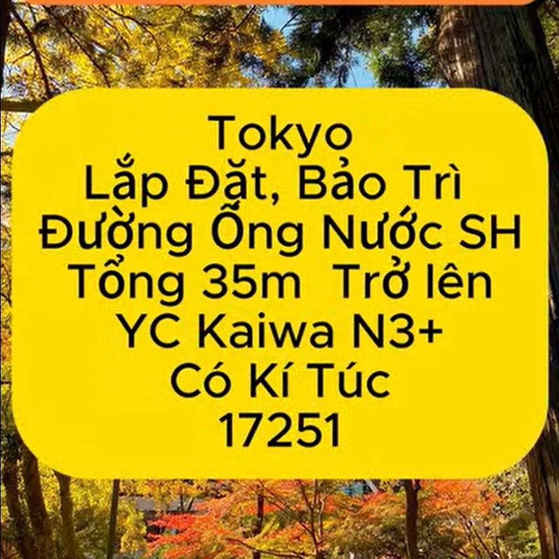 17251 Tokyo Đường Ống Tổng&nbsp;35m>