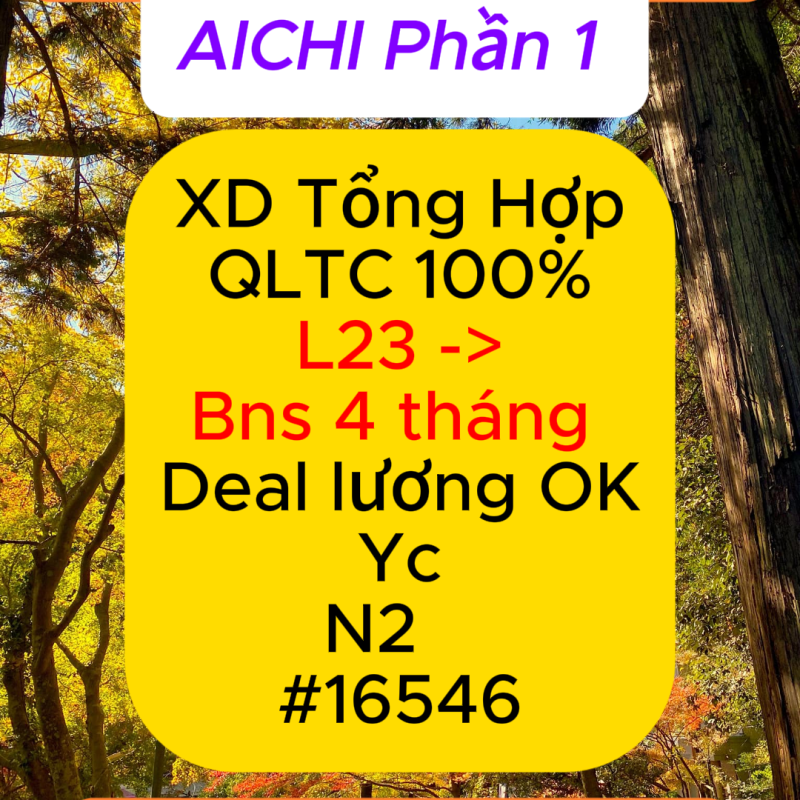 16546 QLTC XD Tổng Hợp&nbsp;AIChi