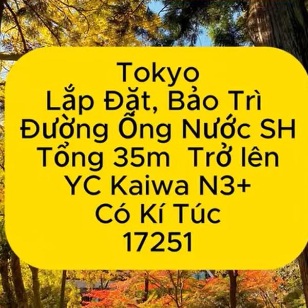 17251 Tokyo Đường Ống&nbsp;35m