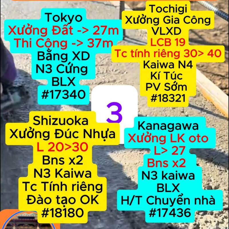 TH Tokyo Tochigi Shizuoka&nbsp;Kanagawa