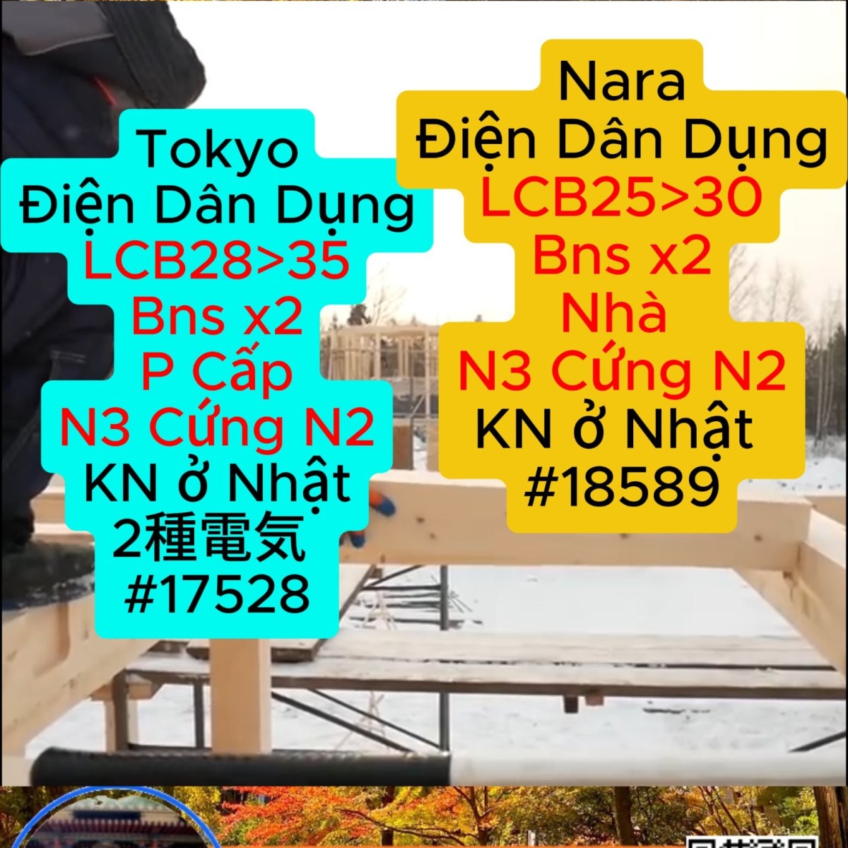 Điện Tokyo Nara 17528&nbsp;18589
