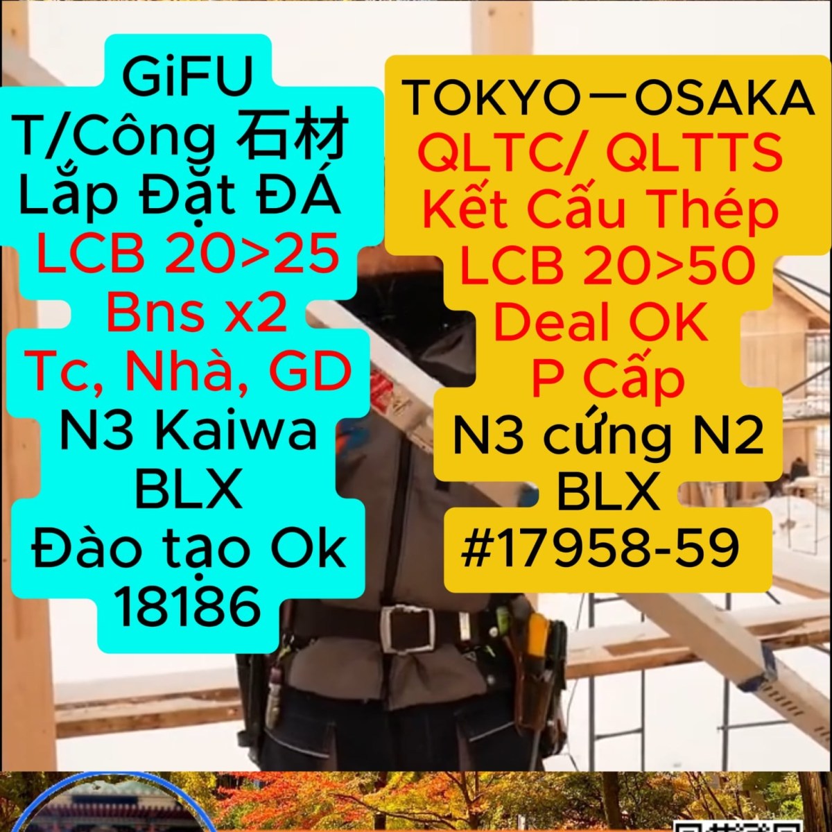 XD GiFU TOKYO OSAKA 18186&nbsp;17958